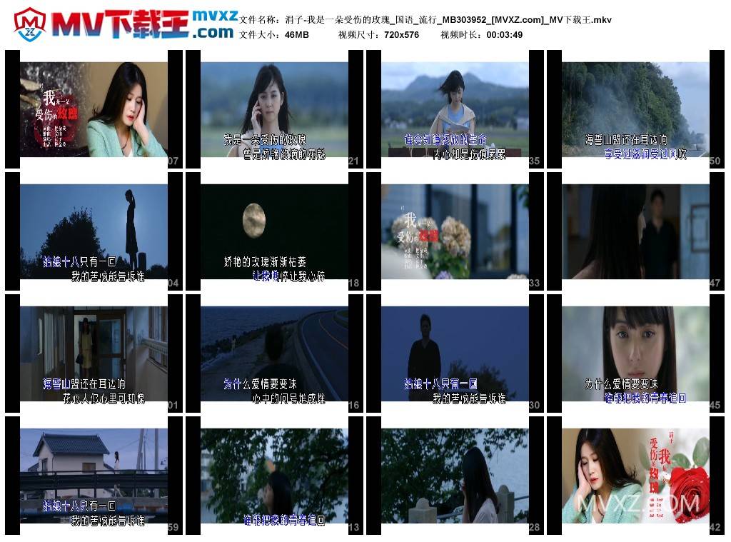 涓子-我是一朵受伤的玫瑰_国语_流行_MB303952